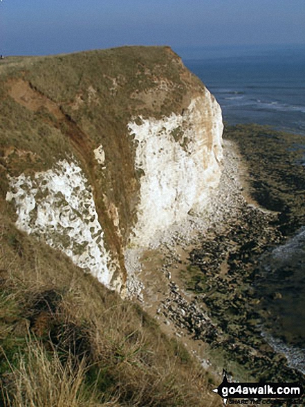 Walk ey100 Flamborough Head from South Landing - Cliffs at Flamborough Head