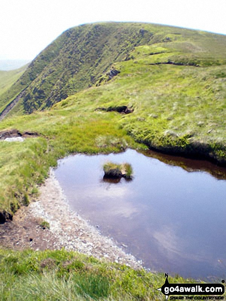 Walk po142 Cadair Berwyn from Pistyll Rhaeadr - Pool on Cadair Berwyn