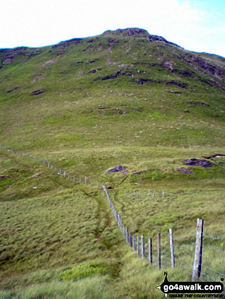 Walk po109 Foel Wen and Cadair Berwyn from Tyn-y-fridd - Cadair Berwyn from Moel yr Ewig