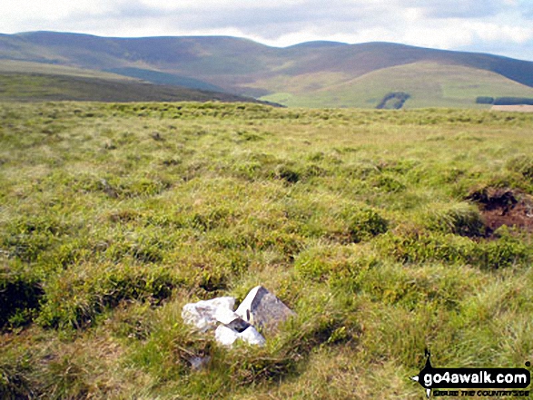 Walk po109 Foel Wen and Cadair Berwyn from Tyn-y-fridd - Godor summit cairn