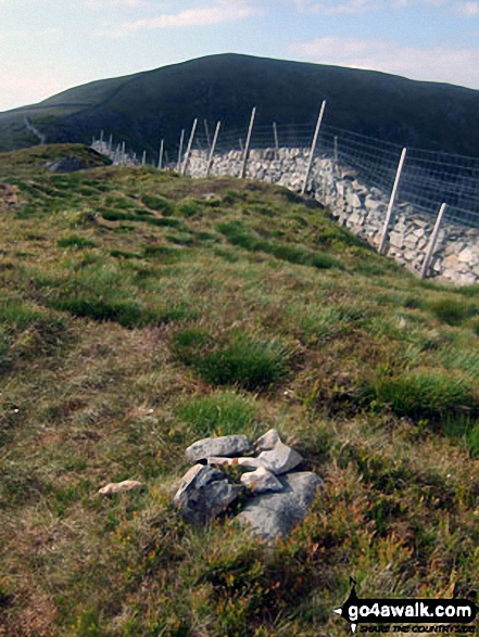 Walk gw159 Rhinog Fawr, Rhinog Fach, Y Llethr and Diffwys from Cwm Nantcol - Y Llethr from the modest cairn on the summit of Crib-y-rhiw