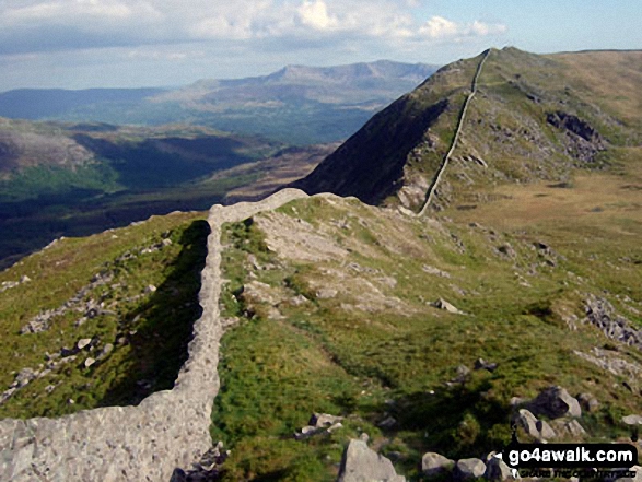 Diffwys from Crib-y-rhiw 