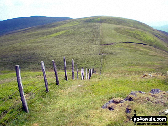 Walk po109 Foel Wen and Cadair Berwyn from Tyn-y-fridd - Tomle from Foel Wen