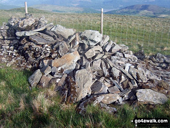 Walk gw159 Rhinog Fawr, Rhinog Fach, Y Llethr and Diffwys from Cwm Nantcol - Diffwys (West Top) summit