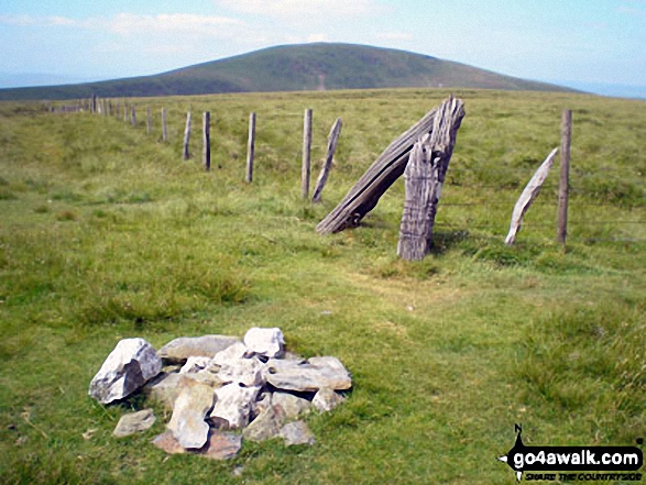 Walk po109 Foel Wen and Cadair Berwyn from Tyn-y-fridd - Tomle summit cairn