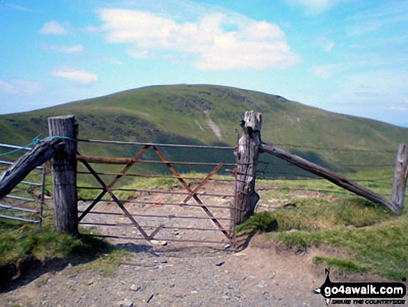 Cadair Bronwen from the gated track NW of Tomle 