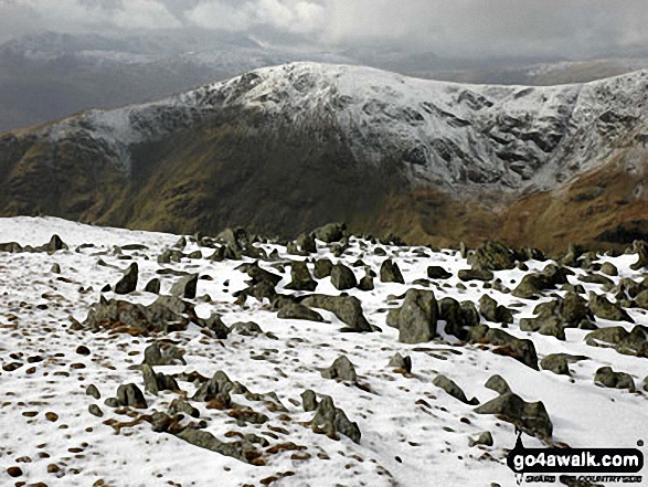 Walk c247 The Fairfield Horseshoe from Ambleside - Great Rigg from Hart Crag