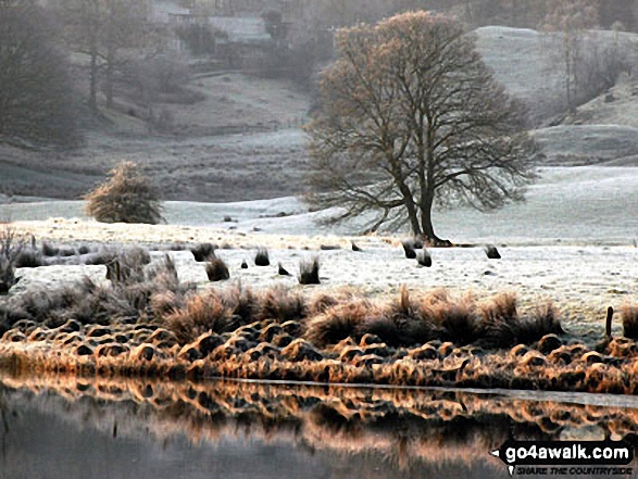 Walk c206 Lingmoor Fell and Little Langdale from Blea Tarn (Langdale) nr Elterwater - February frosts around Elterwater