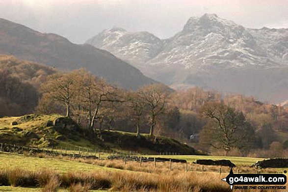 Walk c206 Lingmoor Fell and Little Langdale from Blea Tarn (Langdale) nr Elterwater - The Langdales from Elterwater