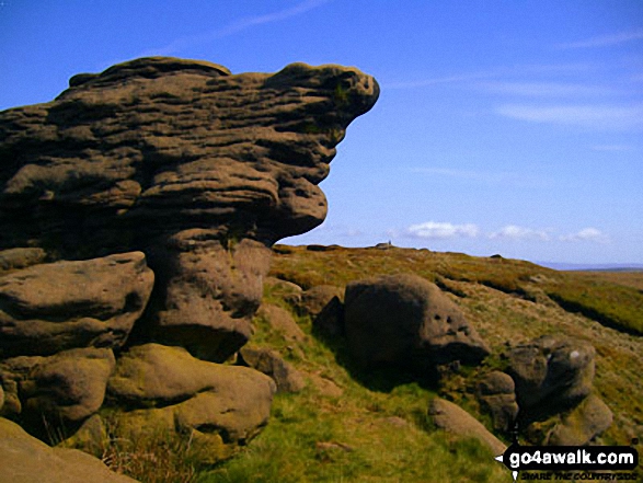 Walk l105 Lad Law (Boulsworth Hill) from Trawden - Rock sculptures on Lad Law (Boulsworth Hill)