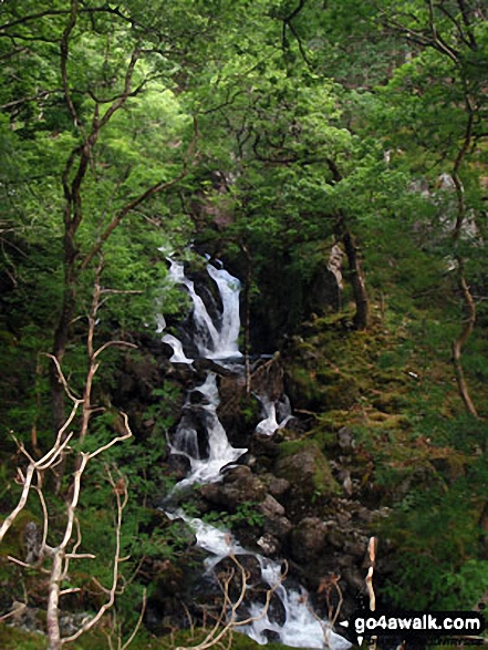 Waterfall from The Minffordd Path in woodland below Ystrad-gwyn 