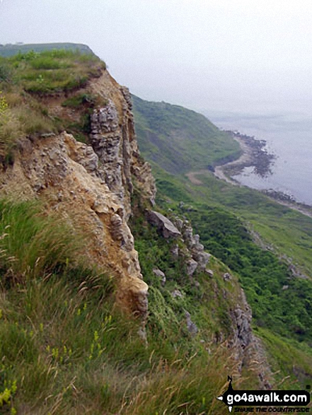 Walk do141 Abbotsbury Castle, West Bexington and Chesil Beach from Abbotsbury - The South West Coast Path near St Aldhelm's Head (St Alban's Head)