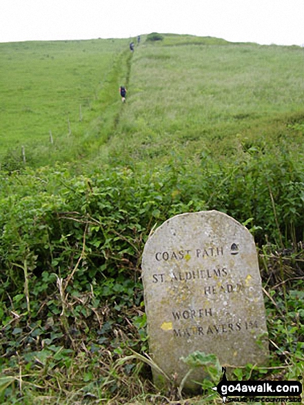 The South West Coast Path milepost near St Aldhelm's Head (St Alban's Head) 