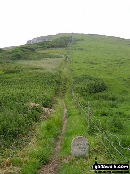 The South West Coast Path close to St Aldhelm's Head (St Alban's Head) 