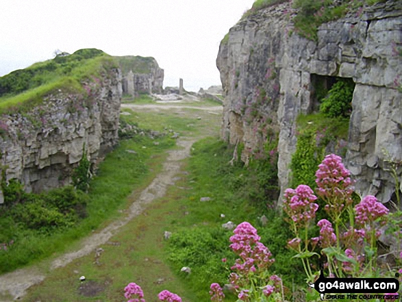 Walk do142 St Aldhelm's Head (St Alban's Head) from Worth Matravers - Disused quarry at Winspit, The South West Coast Path