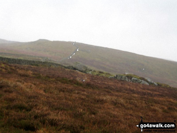 Bowland Knotts (Crutchenber Fell) from between Rock Cat Knott and Knotteranum 