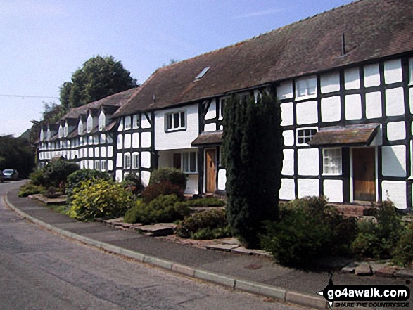 Walk hf142 Weobley from Dilwyn - Dilwyn Village