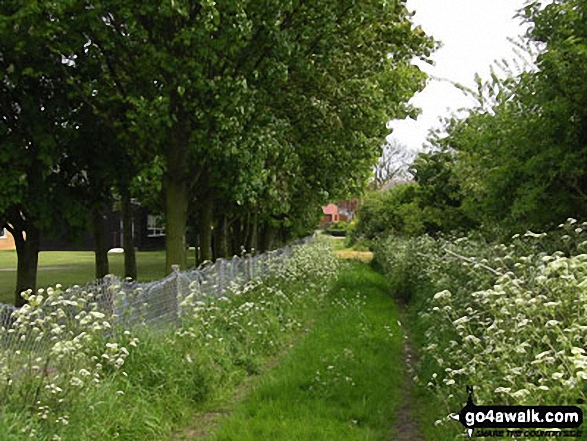 Public Footpath number 3, which runs from Fen Road to Walcott Road, Billinghay 