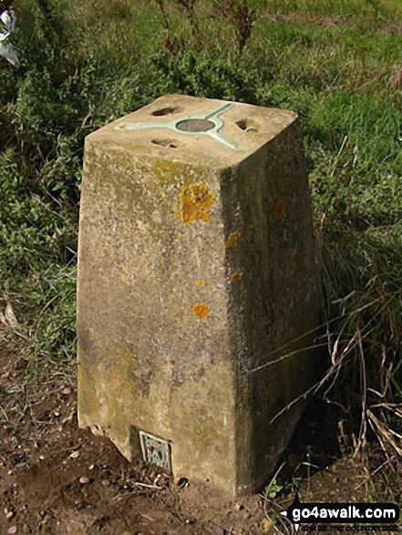 Public Footpath number 3, which runs from Fen Road to Walcott Road, Billinghay 