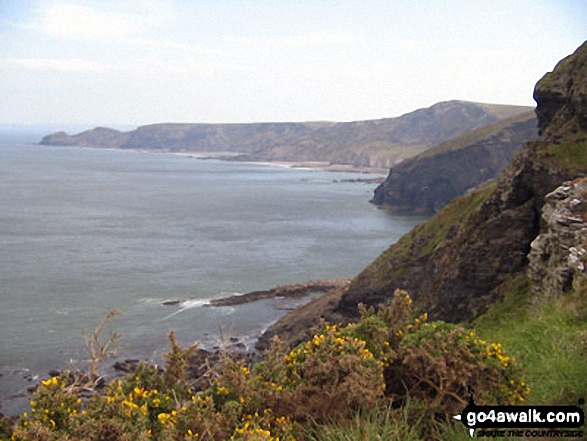 Walk co118 Fire Beacon Point and Grower Rock from Boscastle - Looking North from just below Fire Beacon Point