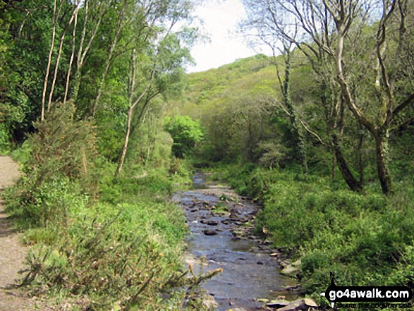 Walk co103 Fire Beacon Point from Boscastle - The River Valency approaching Boscastle