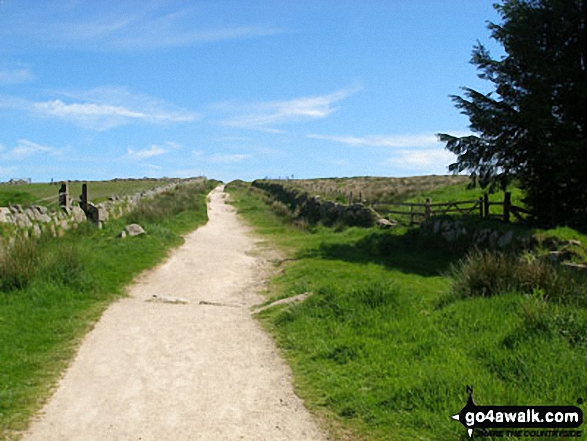 Walk de146 North Hessary Tor from Princetown - The path to South Hessary Tor from Princetown