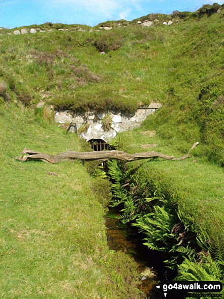 Devonport Leat emerging from the hillside 