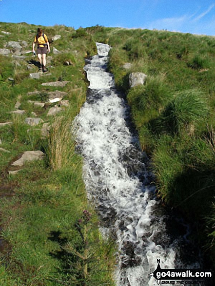 Devonport Leat tumbling down Raddick Hill 