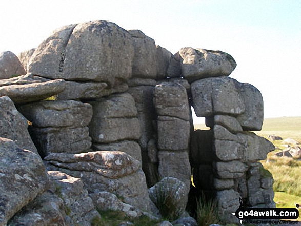 On Black Tor 