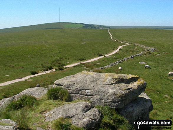 North Hessary Tor from South Hessary Tor