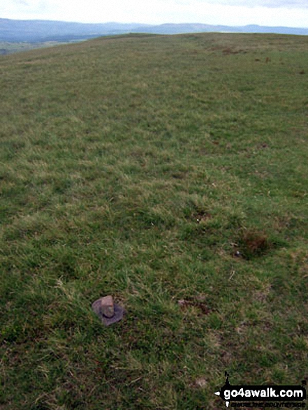 The tiny cairn marking the true summit of Fan Llia