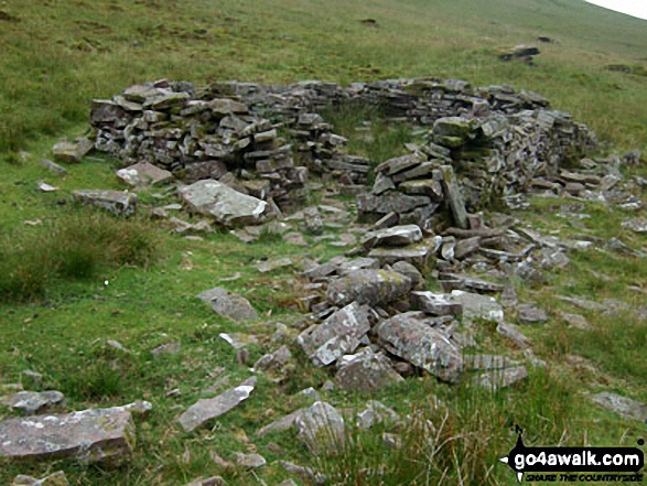 Walk po118 Fan Llia, Craig Cerrig-gleisiad and Fan Fawr from Blaen Llia - Sheepfold/ruin on Gorllwn onthe way to Fan Fawr