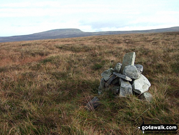 Walk c407 Little Fell (Burton Fell), Mickle Fell and Murton Fell from Hilton - Murton Fell summit cairn