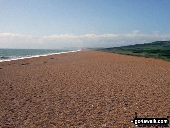 Walk do141 Abbotsbury Castle, West Bexington and Chesil Beach from Abbotsbury - Chesil Beach at West Bexington