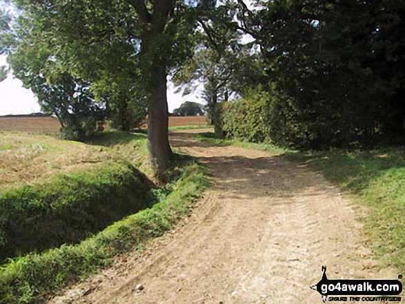 Walk e152 Hatfield Broad Oak from Takeley - Country Track near Taverners Green