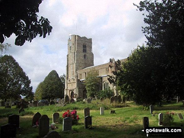 Hatfield Broad Oak Church 