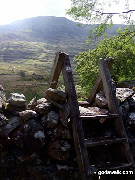 Rhinog Fach from Nantcol 