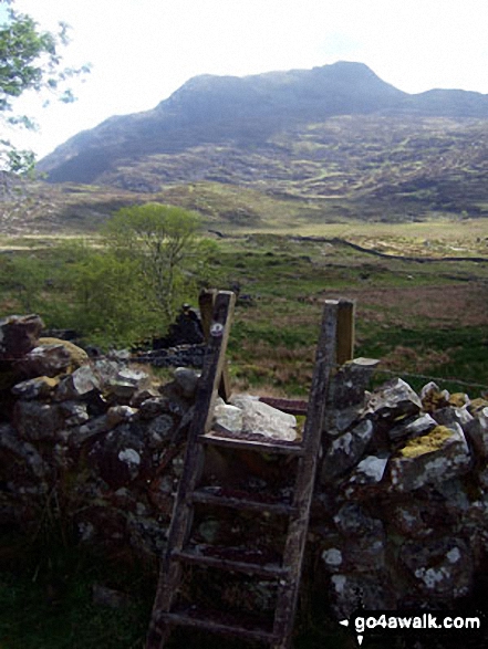 Walk gw159 Rhinog Fawr, Rhinog Fach, Y Llethr and Diffwys from Cwm Nantcol - Y Llethr from Nantcol