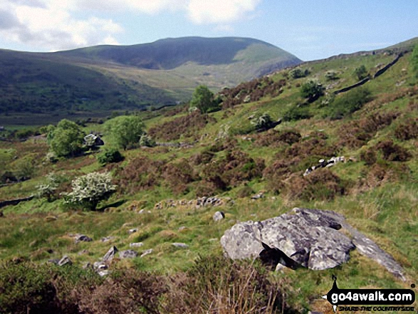 Moelfre (Rhinogs) from the lower slopes of Rhinog Fawr above Nantcol