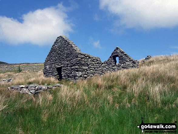 Ruined barn on the lower slopes of Rhinog Fawr above Nantcol