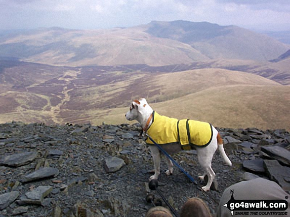 Walk c321 Skiddaw and Lonscale Fell from Millbeck, nr Keswick - On the summit of Skiddaw