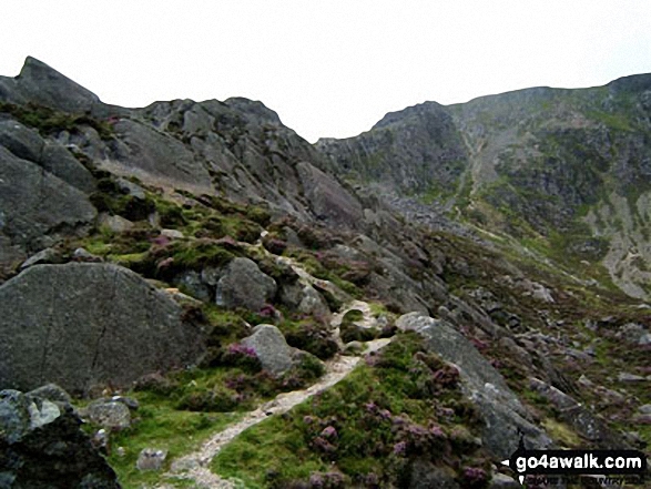 Walk cw180 Carnedd Moel Siabod, Y Foel Goch and Gallt yr Ogof from Pont Cyfyng, Capel Curig - Approaching the summit of Carnedd Moel Siabod