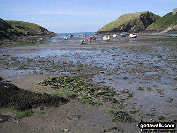 Walk pe100 Abercastle and Careg Samson from Trefin - Abercastle