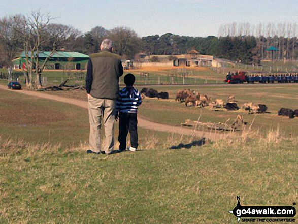 My Son and his Grandad on a Hill at Whipsnade 