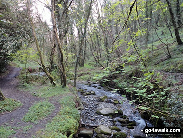 Walk co181 Rocky Valley and Tintagel Castle from Tintagel - St Nectan's Glen