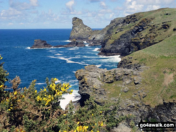 Walk co167 Trevalga Cliffs, Tintagel Head and Trebarwith Sands from Tintagel - View of Trewthet Gut from Rocky Valley