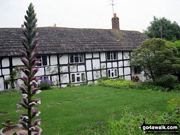 Tudor Cottages in Thakeham 