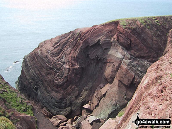 Walk pe119 Pen Dal-aderyn from Porthstinian - The Pembrokeshire Coast Path