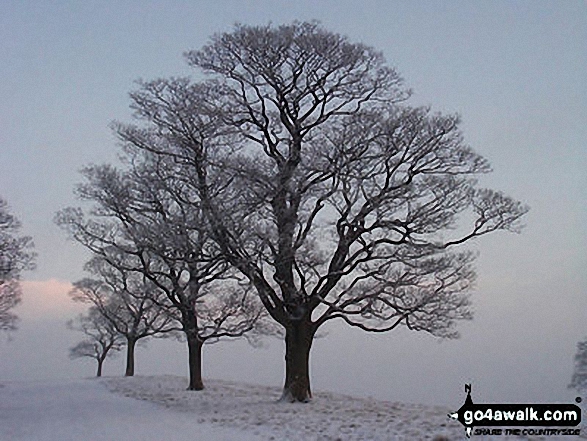 Walk ch310 West Parkgate, Sponds Hill and The Cage from Lyme Park Country Park - Lyme Park in Winter