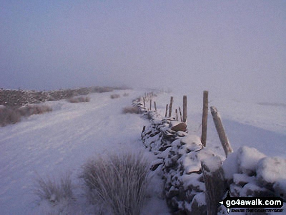 Walk ch266 The Macclesfield Canal and Lyme Park from Higher Poynton - Lyme Park in Winter